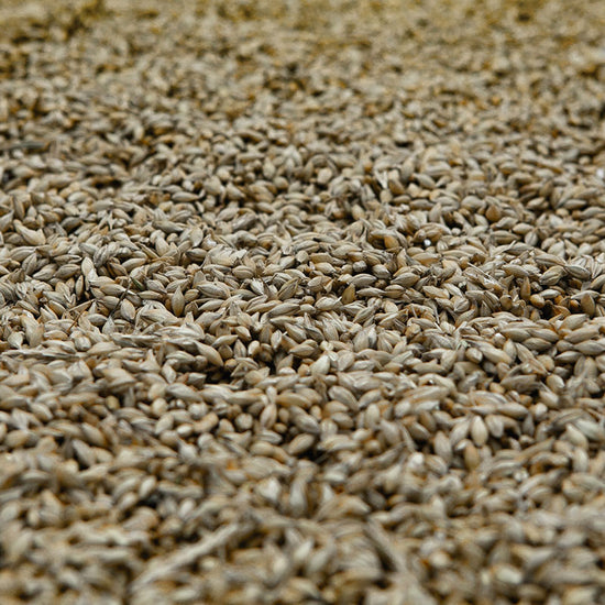 Malting