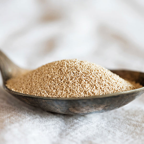 The Yeast